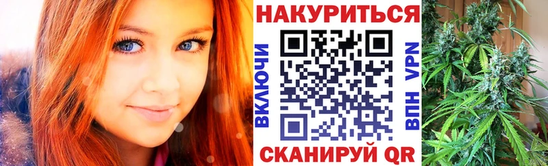 Где купить наркотики Отрадная Марихуана  Метамфетамин  МЕФ  Альфа ПВП  Псилоцибиновые грибы 