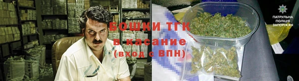 шишки Алексеевка