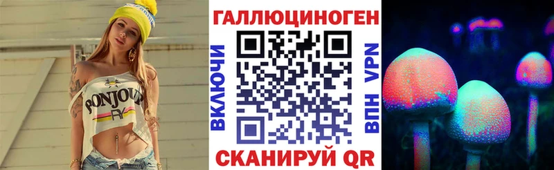 площадка как зайти Отрадная Псилоцибиновые грибы Psilocybine cubensis